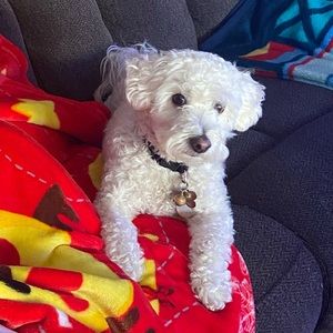 Meet your Posher, Maria